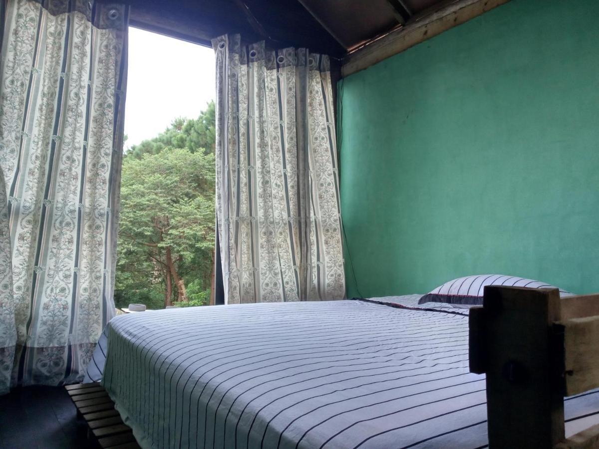 FlorianópolisCastelinho别墅 外观 照片